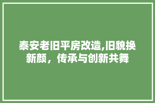 泰安老旧平房改造,旧貌换新颜，传承与创新共舞 装修材料