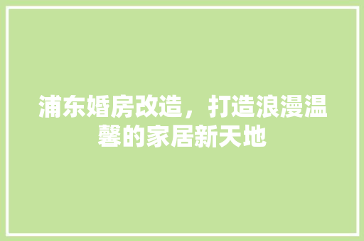 浦东婚房改造，打造浪漫温馨的家居新天地