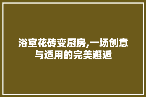 浴室花砖变厨房,一场创意与适用的完美邂逅 墙面装饰