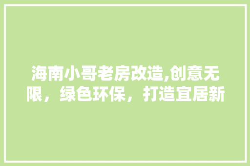 海南小哥老房改造,创意无限，绿色环保，打造宜居新空间