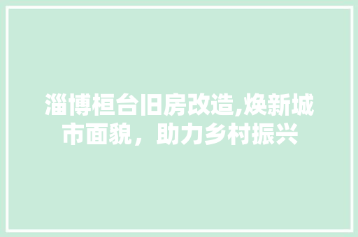 淄博桓台旧房改造,焕新城市面貌，助力乡村振兴
