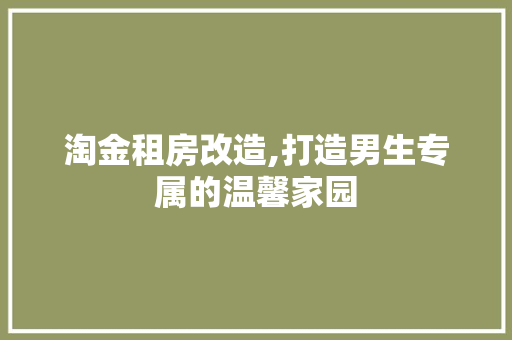 淘金租房改造,打造男生专属的温馨家园