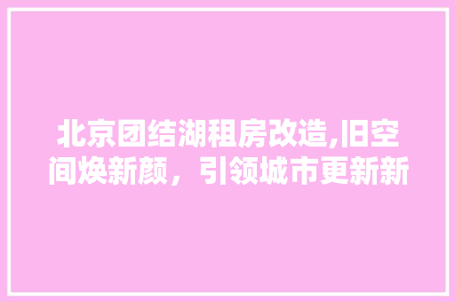北京团结湖租房改造,旧空间焕新颜，引领城市更新新潮流
