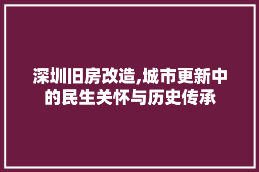 深圳旧房改造,城市更新中的民生关怀与历史传承