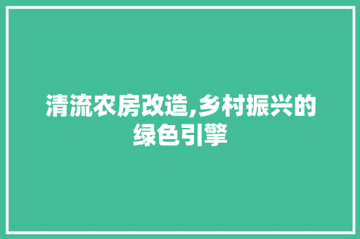 清流农房改造,乡村振兴的绿色引擎 地面装修