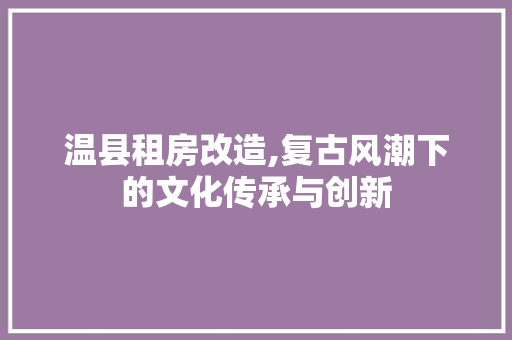 温县租房改造,复古风潮下的文化传承与创新