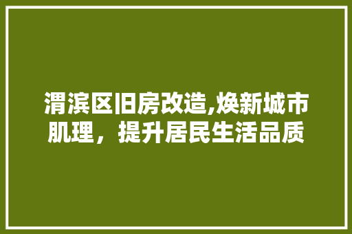 渭滨区旧房改造,焕新城市肌理，提升居民生活品质 装修攻略