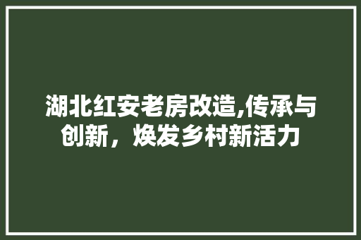 湖北红安老房改造,传承与创新，焕发乡村新活力