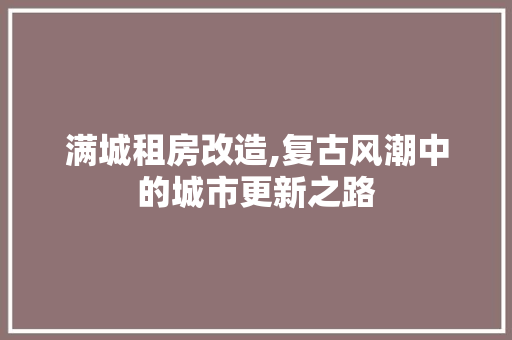 满城租房改造,复古风潮中的城市更新之路