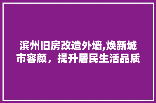 滨州旧房改造外墙,焕新城市容颜,提升居民生活品质 景观设计 滨州旧房改造外墙,焕新城市容颜,提升居民生活品质 景观设计