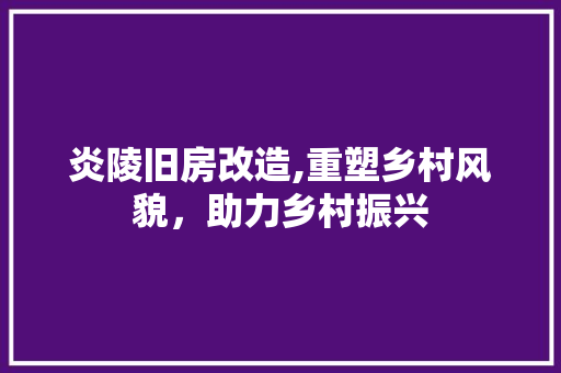 炎陵旧房改造,重塑乡村风貌，助力乡村振兴