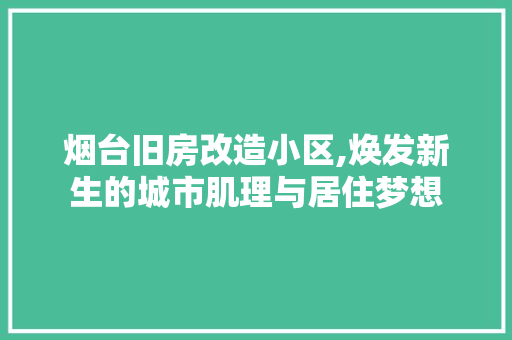 烟台旧房改造小区,焕发新生的城市肌理与居住梦想