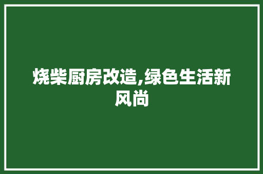 烧柴厨房改造,绿色生活新风尚 墙面装饰