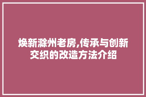 焕新滁州老房,传承与创新交织的改造方法介绍 墙面装饰