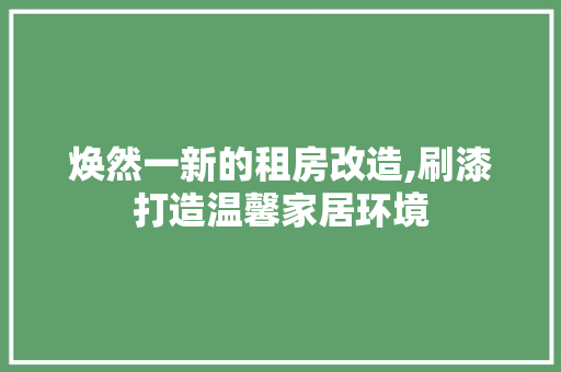 焕然一新的租房改造,刷漆打造温馨家居环境