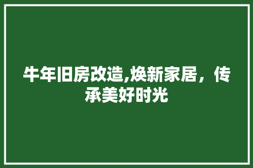 牛年旧房改造,焕新家居，传承美好时光