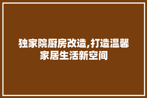独家院厨房改造,打造温馨家居生活新空间 地面装修