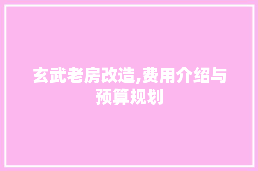 玄武老房改造,费用介绍与预算规划
