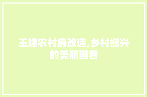王建农村房改造,乡村振兴的美丽画卷 墙面装饰