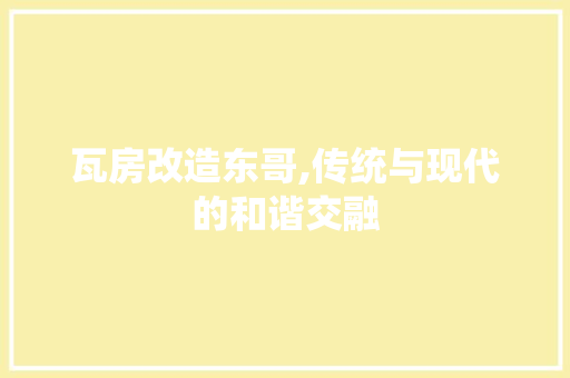 瓦房改造东哥,传统与现代的和谐交融