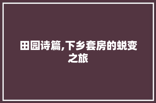 田园诗篇,下乡套房的蜕变之旅