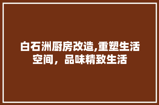 白石洲厨房改造,重塑生活空间，品味精致生活