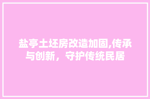 盐亭土坯房改造加固,传承与创新，守护传统民居