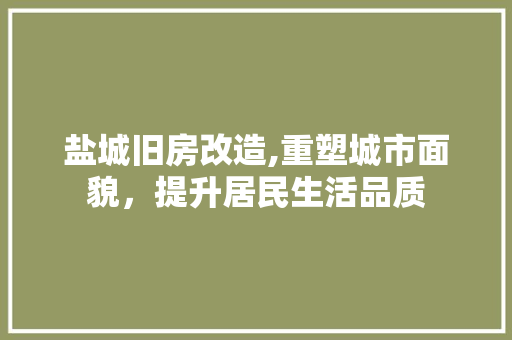 盐城旧房改造,重塑城市面貌，提升居民生活品质