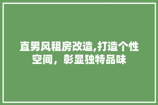 直男风租房改造,打造个性空间，彰显独特品味