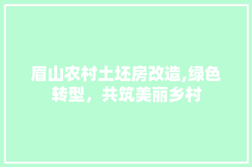 眉山农村土坯房改造,绿色转型，共筑美丽乡村 装修材料