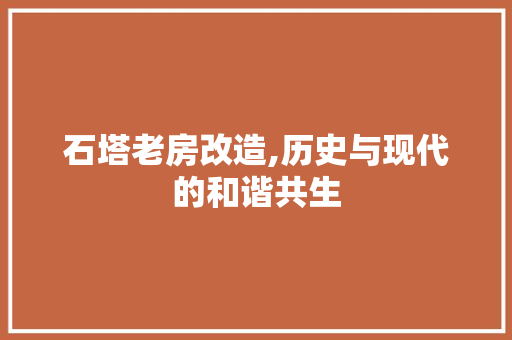 石塔老房改造,历史与现代的和谐共生 庭院装修