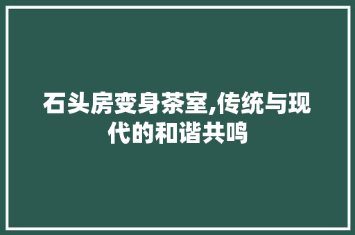 石头房变身茶室,传统与现代的和谐共鸣
