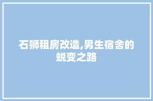 石狮租房改造,男生宿舍的蜕变之路 墙面装饰