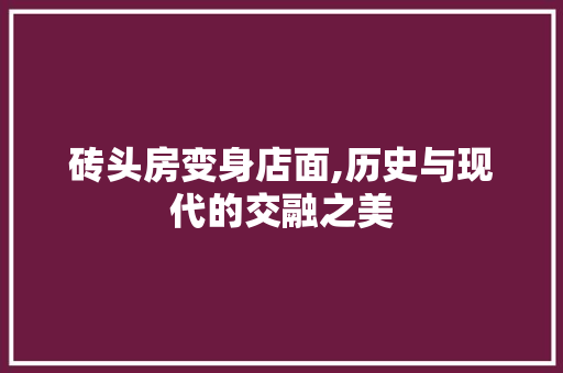 砖头房变身店面,历史与现代的交融之美