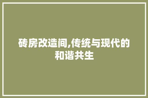 砖房改造间,传统与现代的和谐共生