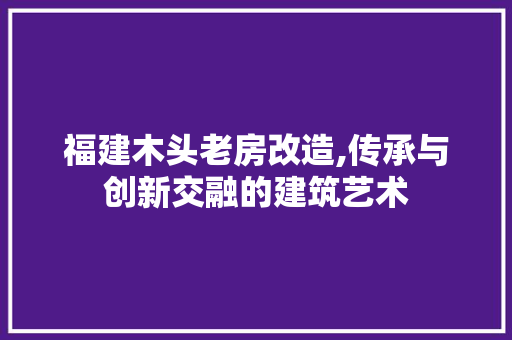 福建木头老房改造,传承与创新交融的建筑艺术 墙面装饰