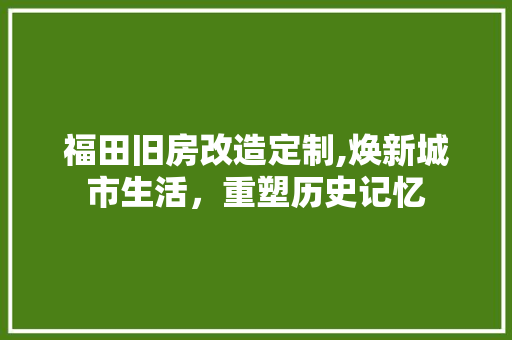 福田旧房改造定制,焕新城市生活，重塑历史记忆 门窗装修