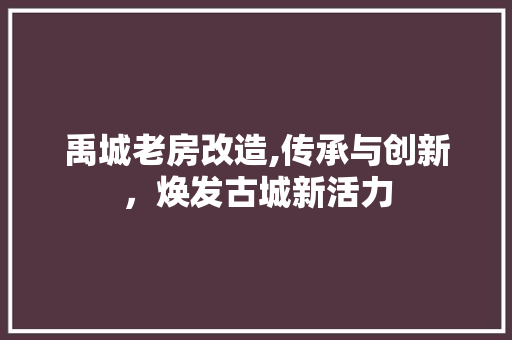 禹城老房改造,传承与创新，焕发古城新活力 建筑设计