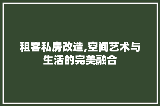 租客私房改造,空间艺术与生活的完美融合 隔断设计 租客私房改造,空间艺术与生活的完美融合 隔断设计