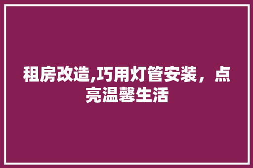 租房改造,巧用灯管安装，点亮温馨生活 景观设计