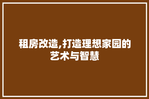 租房改造,打造理想家园的艺术与智慧
