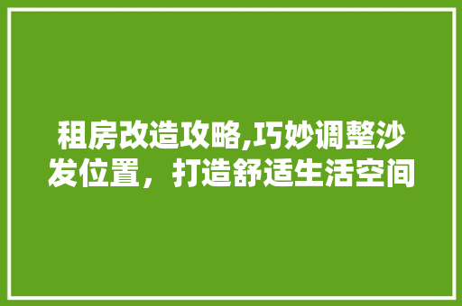 租房改造攻略,巧妙调整沙发位置，打造舒适生活空间 地面装修