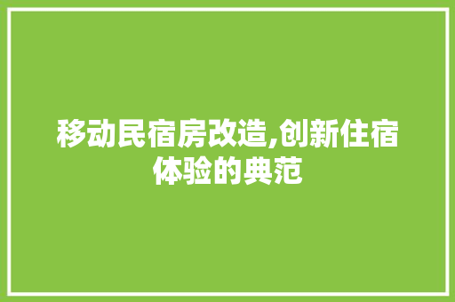 移动民宿房改造,创新住宿体验的典范 装修攻略