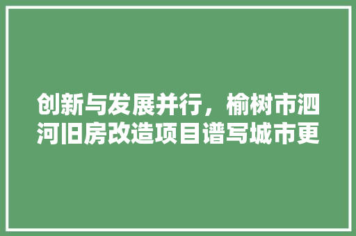 创新与发展并行，榆树市泗河旧房改造项目谱写城市更新新篇章