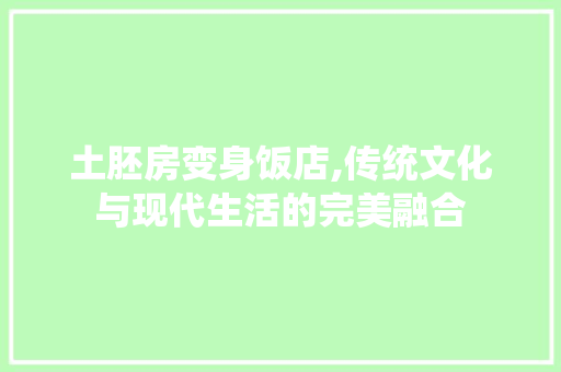 土胚房变身饭店,传统文化与现代生活的完美融合 庭院装修