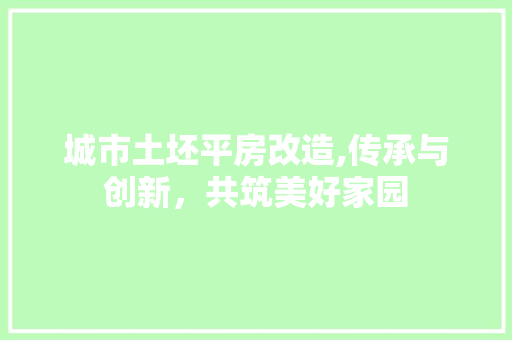 城市土坯平房改造,传承与创新，共筑美好家园