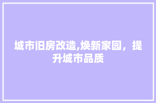 城市旧房改造,焕新家园，提升城市品质