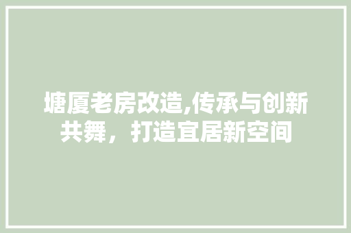 塘厦老房改造,传承与创新共舞，打造宜居新空间 地面装修