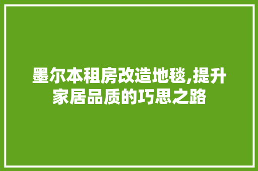 墨尔本租房改造地毯,提升家居品质的巧思之路 装修攻略