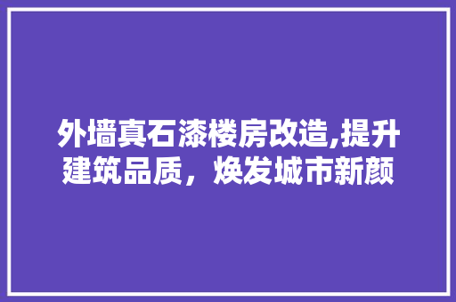 外墙真石漆楼房改造,提升建筑品质，焕发城市新颜 隔断设计